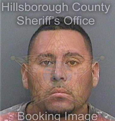 Sanchezhernandez David - Hillsborough County, FL 