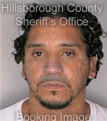 Gonzalez Jose - Hillsborough County, FL 