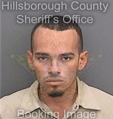 Guzmanechevarria Hiram - Hillsborough County, FL 