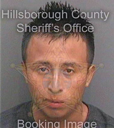 Vazquezperez Wilmer - Hillsborough County, FL 