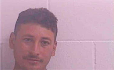 Alvarenga Jose - Decatur County, GA 