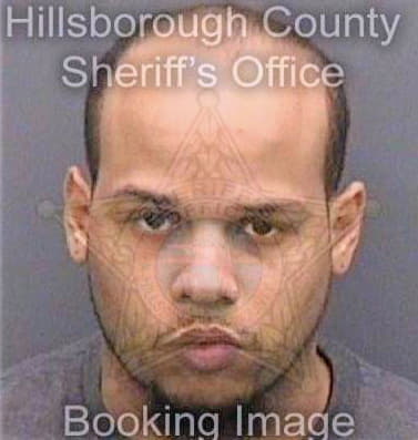 Nunez Edgar - Hillsborough County, FL 