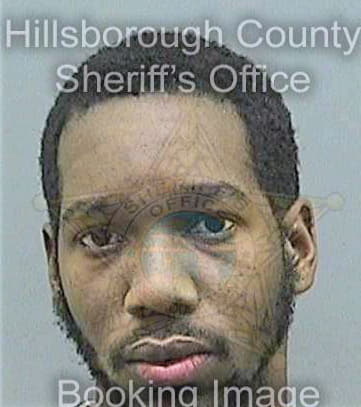 Richards Raymond - Hillsborough County, FL 