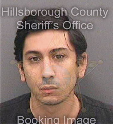 Castillo Bryan - Hillsborough County, FL 