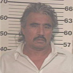 Guerra Guillermo - Hidalgo County, TX 