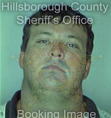 Mcguire Michael - Hillsborough County, FL 
