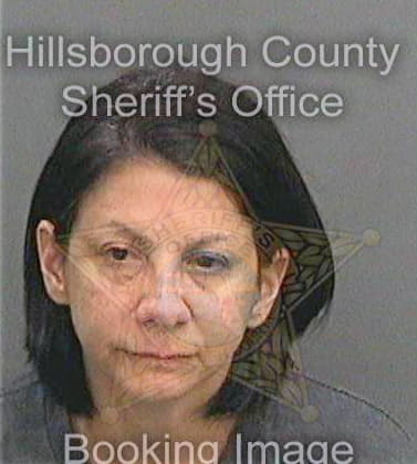 Hoger Dawn - Hillsborough County, FL 