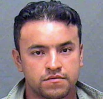 Ruiz Miguel - Mecklenburg County, NC 