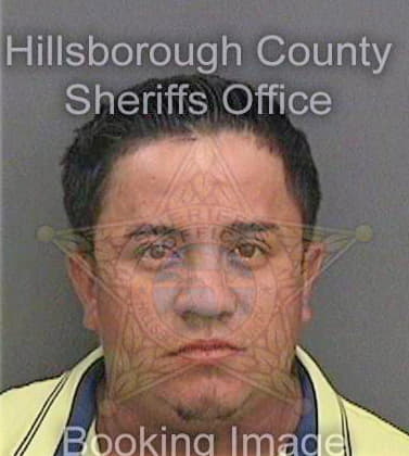 Mejia-Rivera Denis - Hillsborough County, FL 