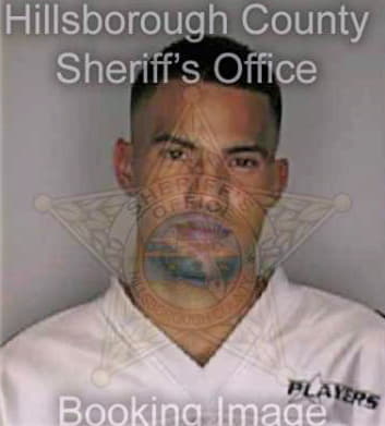Mendozalebron Elvin - Hillsborough County, FL 
