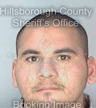 Herrera Jesus - Hillsborough County, FL 