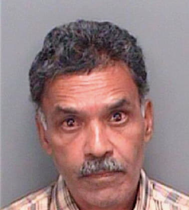 Fernandes Joseph - Pinellas County, FL 