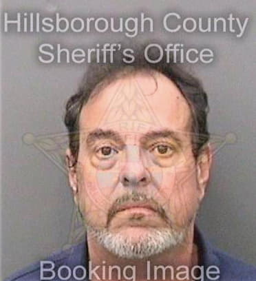 Miersanchez Sergio - Hillsborough County, FL 