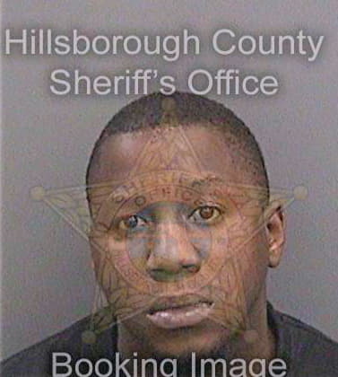 Lee Vincent - Hillsborough County, FL 