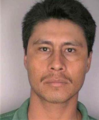 Mendoza Francisco - Hillsborough County, FL 