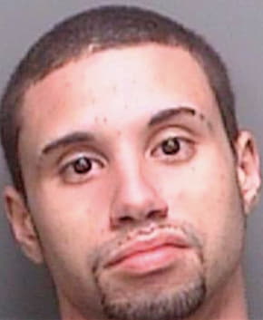 Gomez Anthony - Pinellas County, FL 