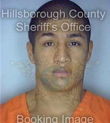 Silva Nicholas - Hillsborough County, FL 