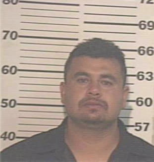 Hernandez Jose - Hidalgo County, TX 