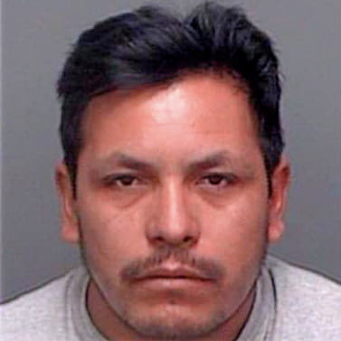 Morales Jose - Pinellas County, FL 