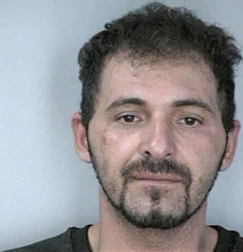 Gonzalez Gregorio - Hillsborough County, FL 