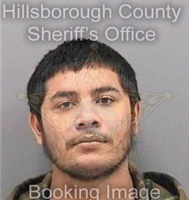 Garcia Luis - Hillsborough County, FL 