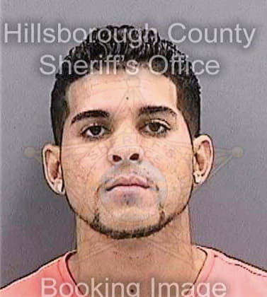 Soler David - Hillsborough County, FL 