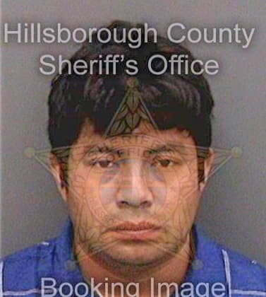 Diazperez Ernesto - Hillsborough County, FL 