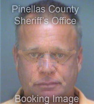 Mcdonagh Mark - Pinellas County, FL 