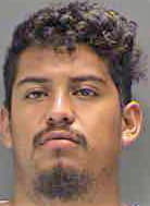 Hernandezasian Rodrigo - Sarasota County, FL 