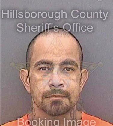 Bermudez Jose - Hillsborough County, FL 