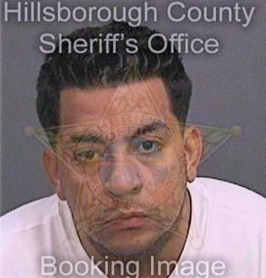 Argudo Daniel - Hillsborough County, FL 