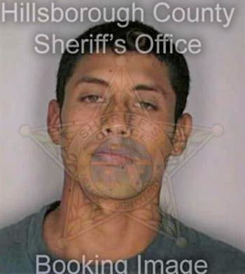 Martineztrejo Jose - Hillsborough County, FL 