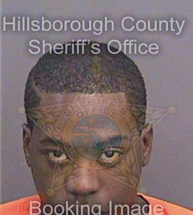 Lewis Andrea - Hillsborough County, FL 