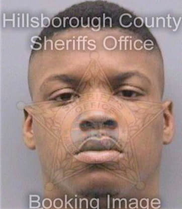 Bostic Rhykeem - Hillsborough County, FL 