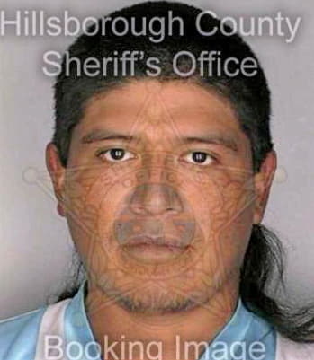 Mendez Mardonio - Hillsborough County, FL 