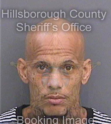 Sherman Robert - Hillsborough County, FL 
