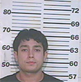 Sanchez Aaron - Hidalgo County, TX 