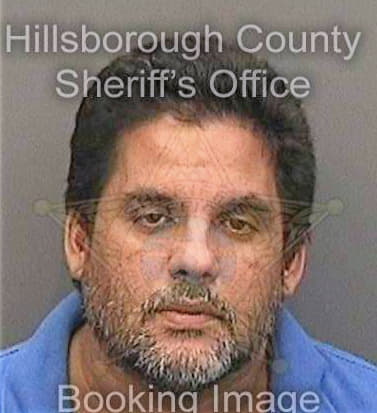 Ramireztorres Fernando - Hillsborough County, FL 