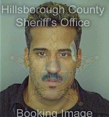 Merced Luis - Hillsborough County, FL 