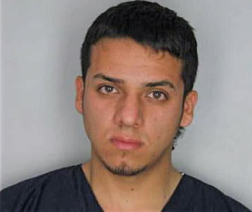 Mendoza Edgar - Hillsborough County, FL 