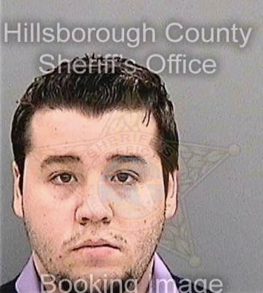 Medinazamora Jorge - Hillsborough County, FL 