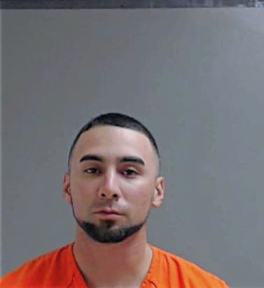 Deleon David - Hidalgo County, TX 