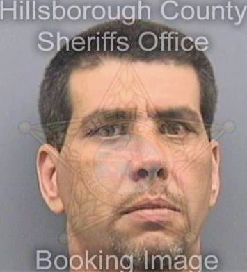 Diazdeleon Miguel - Hillsborough County, FL 