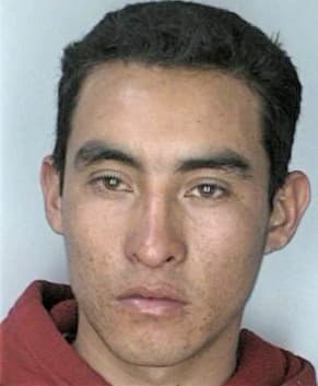 Bonillalopez Samuel - Hillsborough County, FL 