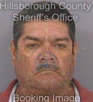 Zuniga Fernando - Hillsborough County, FL 