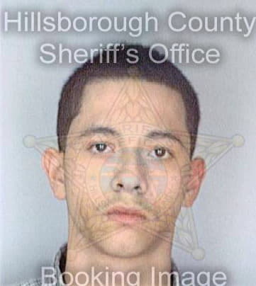 Perezfigueroa Dennis - Hillsborough County, FL 