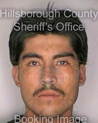 Sanchez Ermilo - Hillsborough County, FL 