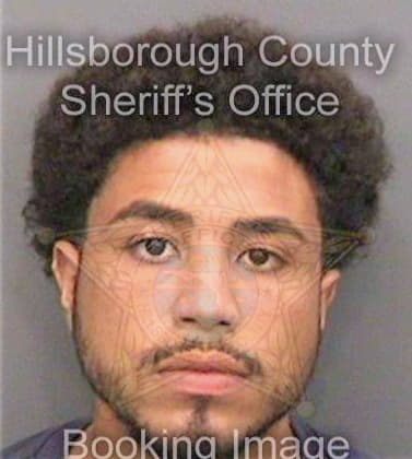 Gonzalez Santo - Hillsborough County, FL 