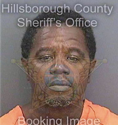 Mclendon Benjamin - Hillsborough County, FL 