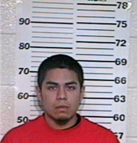 Ramos David - Hidalgo County, TX 